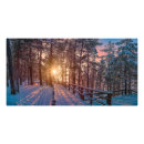Buscar rayos de sol fotografía Bosque
