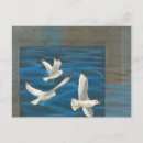 Buscar gaviotas postales Océano