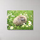 Buscar hedgehog arte Animales silvestres