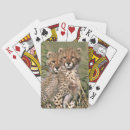 Buscar africa barajas de cartas Vida silvestre