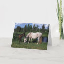 Buscar potro de la yegua postales Sacudida langrish