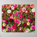 Buscar hojas de otoño posters Naturaleza