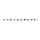 Buscar bird cintas Animal