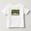 Buscar kyoto camisetas Paisaje