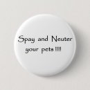 Buscar spay y neutralice Gato