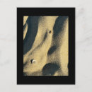 Buscar sombras postales Luz