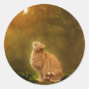 Buscar gato de hadas pegatinas Gatito