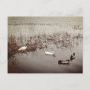 Buscar patos postales Vintage