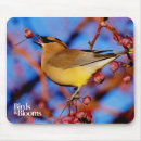 Buscar cedro alfombrillas de raton Waxwing