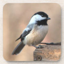 Buscar chickadee casa hogar Negro