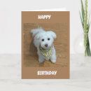 Buscar nuevo conductor tarjetas Chica adolescente