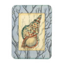 Buscar transparent imanes Naturaleza