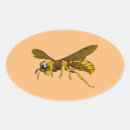 Buscar insectos marrones Para todos