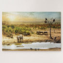 Buscar surafricano Fauna