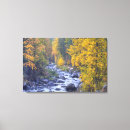 Buscar colores del otoño lienzos Árbol