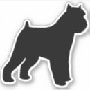Buscar perro de bruselas Parranda