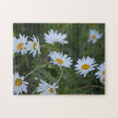 Buscar aficiones puzzles Flores