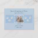 Buscar havanese Havanezer