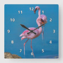 Buscar flamenco rosado relojes de pared Flamencos