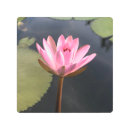 Buscar loto arte Charca