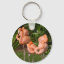 Buscar flamenco llaveros Aves
