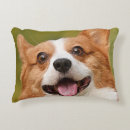 Buscar foto del perro cojines Perros