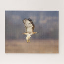 Buscar halcones puzzles Para todos