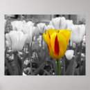 Buscar flores artísticas posters Jardín