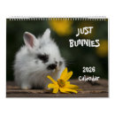 Buscar conejitos calendarios Conejo