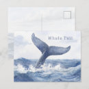 Buscar ballena azul postales Océano