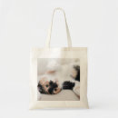 Buscar cat bolsos Calico