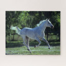 Buscar retroiluminado puzzles Raza
