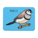 Buscar pajarita imanes General y unisex