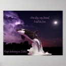 Buscar asesino posters Mar