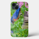 Buscar bluebird electronica Fauna