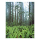 Buscar rododendro posters Verde
