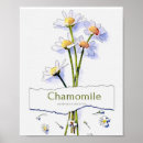 Buscar primavera floral posters Naturaleza