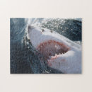 Buscar gran tiburón blanco puzzles Pescar
