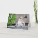 Buscar funny tarjetas nota Adorable