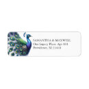 Buscar reales etiquetas Para ellos