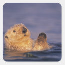 Buscar profundidad postales Adorable