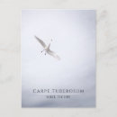 Buscar carpe diem postales Motivacional