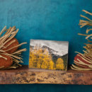 Buscar colorado placas fotograbadas Aspen