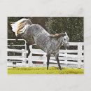 Buscar talones postales General y unisex