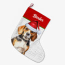 Buscar beagles calcetines navideños Perros