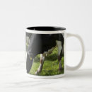 Buscar vacas lecheras tazas Al aire libre