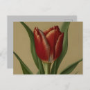 Buscar lovely postales Para todos