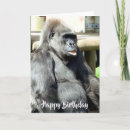 Buscar gorilla tarjetas Primate