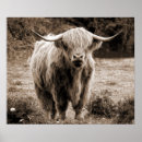 Buscar escocia posters Cabaña