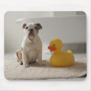 Buscar plastic alfombrillas de raton Amarillo